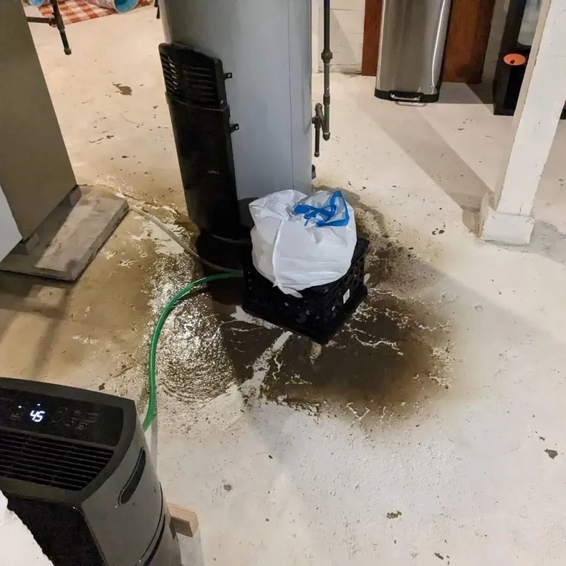 Sewage Backup Cleanup Service in Grenada County, MS